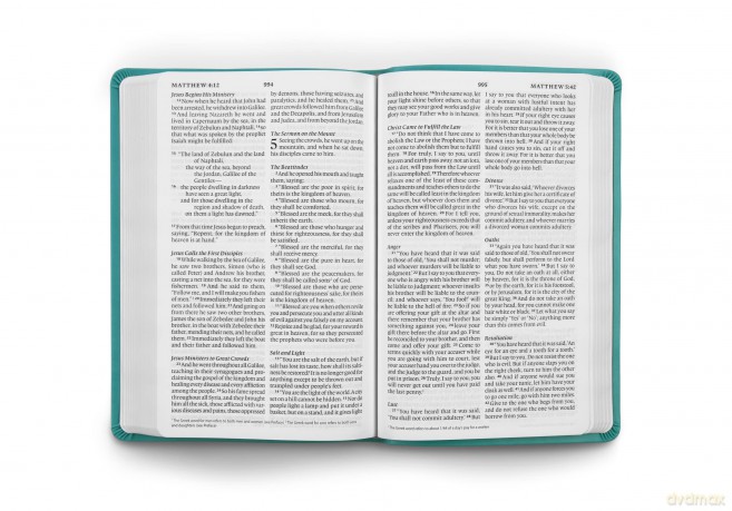 ESV Large Print Value Thinline Bible (TruTone, Turquoise, Emblem Design): English Standard Version, Turquoise, Emblem, TruTone, Value Thinline Bible - ESV Bibles [KSIĄŻKA]