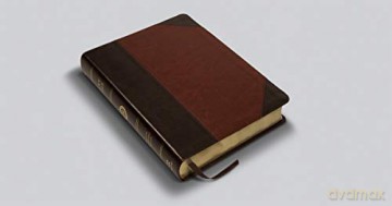 ESV Large Print Wide Margin Bible (TruTone, Brown/Cordovan, Portfolio Design): English Standard Version, Wide Margin Bible, Trutone, Brown/ Cordovan, Portfolio Design - ESV [KSIĄŻKA]