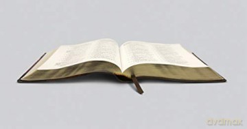 ESV Large Print Wide Margin Bible (TruTone, Brown/Cordovan, Portfolio Design): English Standard Version, Wide Margin Bible, Trutone, Brown/ Cordovan, Portfolio Design - ESV [KSIĄŻKA]