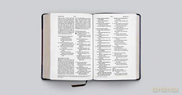 ESV Large Print Wide Margin Bible (TruTone, Brown/Cordovan, Portfolio Design): English Standard Version, Wide Margin Bible, Trutone, Brown/ Cordovan, Portfolio Design - ESV [KSIĄŻKA]