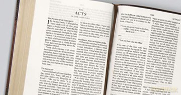 ESV Large Print Wide Margin Bible (TruTone, Brown/Cordovan, Portfolio Design): English Standard Version, Wide Margin Bible, Trutone, Brown/ Cordovan, Portfolio Design - ESV [KSIĄŻKA]
