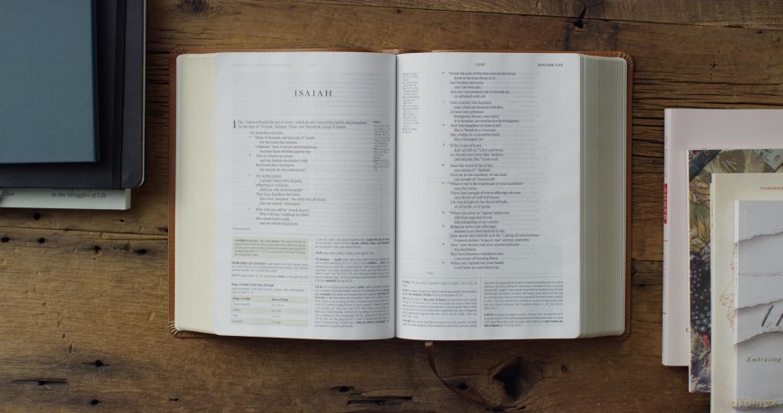 ESV Study Bible (TruTone, English Saddle, Ornament Design): English Standard Version, Trutone, English Saddle, Ornament Design Study Bible With Ribbon Marker - ESV [KSIĄŻKA]