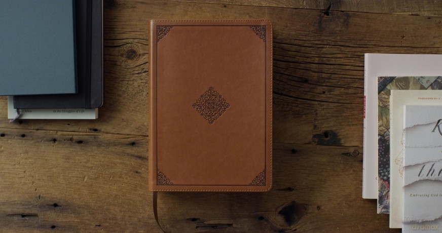 ESV Study Bible (TruTone, English Saddle, Ornament Design): English Standard Version, Trutone, English Saddle, Ornament Design Study Bible With Ribbon Marker - ESV [KSIĄŻKA]