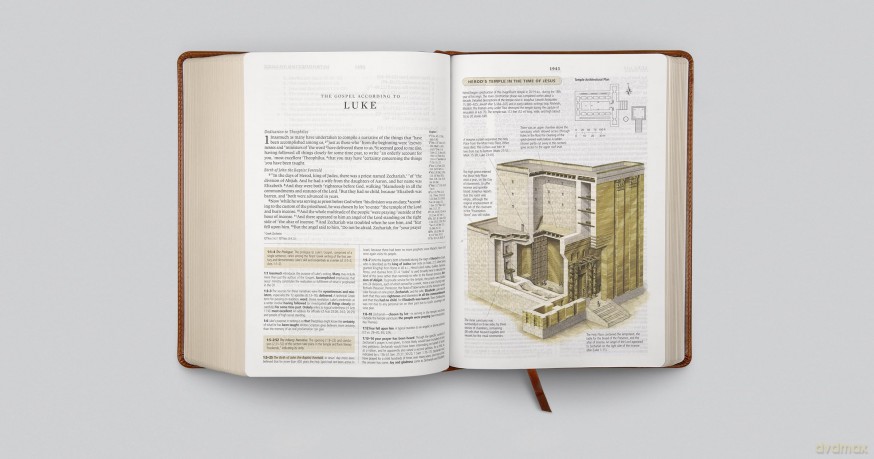 ESV Study Bible (TruTone, English Saddle, Ornament Design): English Standard Version, Trutone, English Saddle, Ornament Design Study Bible With Ribbon Marker - ESV [KSIĄŻKA]