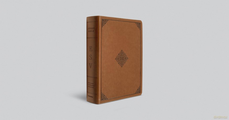 ESV Study Bible (TruTone, English Saddle, Ornament Design): English Standard Version, Trutone, English Saddle, Ornament Design Study Bible With Ribbon Marker - ESV [KSIĄŻKA]