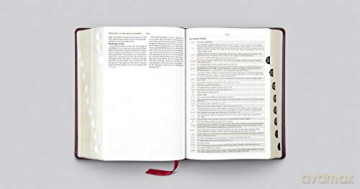 ESV Study Bible, Large Print (TruTone, Mahogany, Trellis Design, Indexed): Esv Study Bible, Large Print, Trutone, Mahogany, Trellis Design, Thumbed Indexed - ESV [KSIĄŻKA]