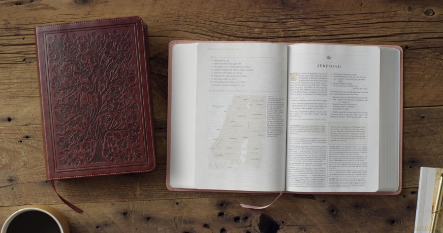 ESV Women's Study Bible (TruTone, Tan, Almond Tree Design): English Standard Version, Tan, Almond Tree Design, Trutone, Women's Study Bible - Jen Wilkin [KSIĄŻKA]