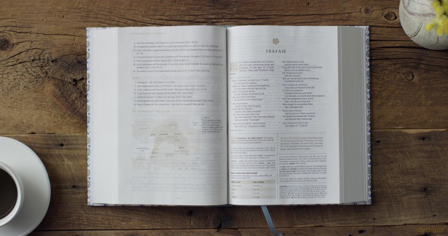ESV Women's Study Bible, Artist Series (Cloth over Board, Lulie Wallace, Sarah): English Standard Version Women's Study Bible - ESV [KSIĄŻKA]