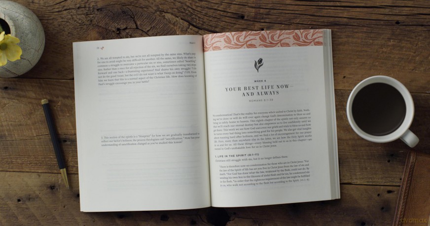 Romans: The Glory of the Gospel (Flourish Bible Study) - Lydia Brownback [KSIĄŻKA]