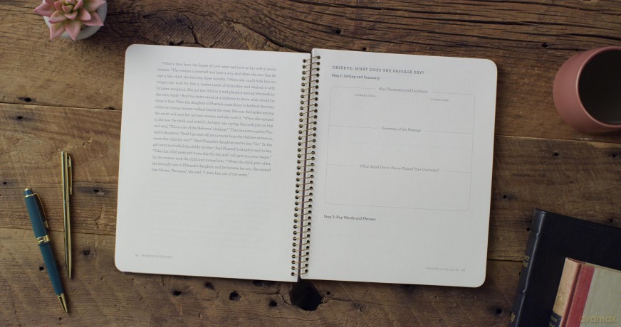 The Stories of Women: An 8-Week Bible Study (Meet Me in the Bible) - Colleen Searcy [KSIĄŻKA]