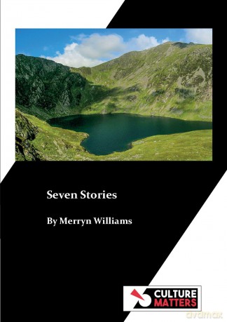 Seven Stories - Merryn Williams [KSIĄŻKA]