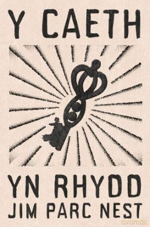 Y Caeth yn Rhydd - Jim Parc Nest [KSIĄŻKA]