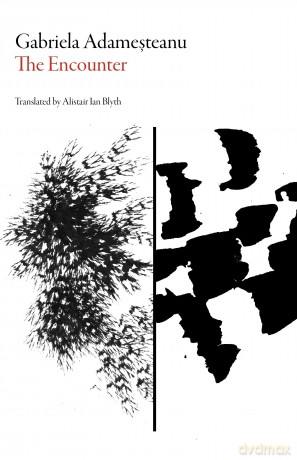 The Encounter (Romanian Literature) - Gabriela Adamesteanu [KSIĄŻKA]