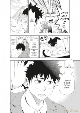 Cat + Crazy Volume 1 - Wataru Nadatani [KOMIKS]
