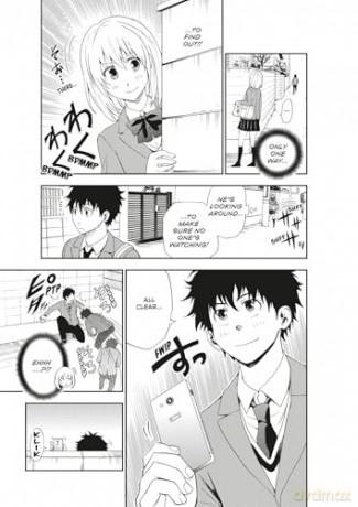 Cat + Crazy Volume 1 - Wataru Nadatani [KOMIKS]