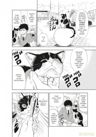 Cat + Crazy Volume 1 - Wataru Nadatani [KOMIKS]