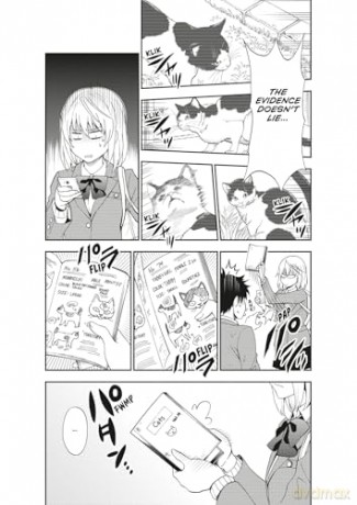Cat + Crazy Volume 1 - Wataru Nadatani [KOMIKS]
