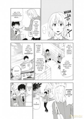 Cat + Crazy Volume 1 - Wataru Nadatani [KOMIKS]