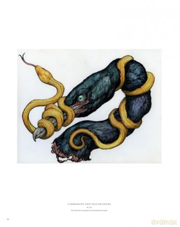 Sacred Decay: The Art of Lauren Marx (Second Edition) - Lauren Marx [KSIĄŻKA]