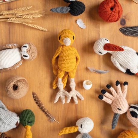 Edward's Menagerie: Birds - New Edition: Over 50 easy-to-make soft toy crochet bird patterns - Kerry Lord [KSIĄŻKA]