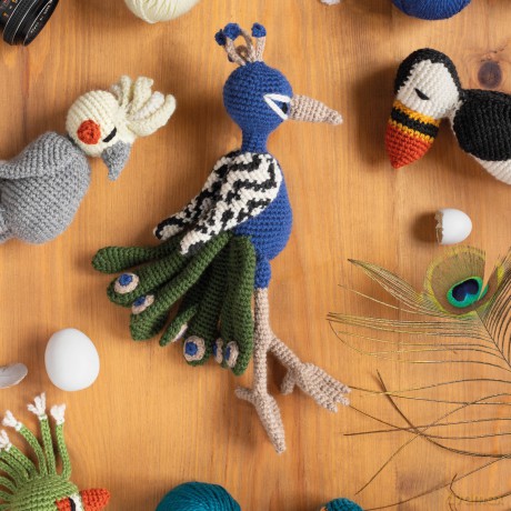 Edward's Menagerie: Birds - New Edition: Over 50 easy-to-make soft toy crochet bird patterns - Kerry Lord [KSIĄŻKA]