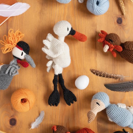 Edward's Menagerie: Birds - New Edition: Over 50 easy-to-make soft toy crochet bird patterns - Kerry Lord [KSIĄŻKA]