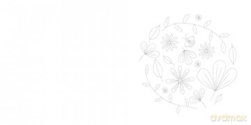 Embroidery Made Easy: Botanical Bliss: 12 beginner-friendly embroidery patterns with iron-on transfers - Stephanie Carswell [KSIĄŻKA]