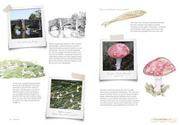 How to Draw a River: From the Source to the Sea: A Step-by-Step Course for the Nature Artist - Alex Boon [KSIĄŻKA]