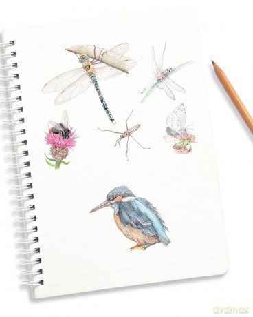 How to Draw a River: From the Source to the Sea: A Step-by-Step Course for the Nature Artist - Alex Boon [KSIĄŻKA]