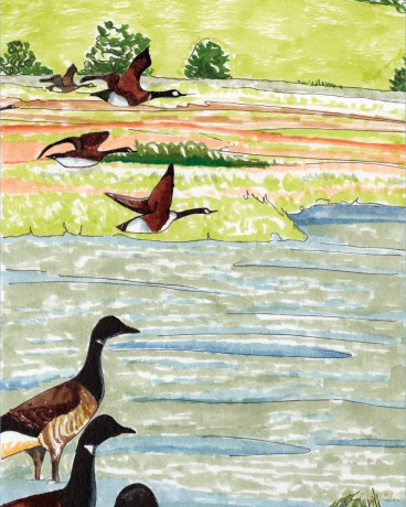 How to Draw a River: From the Source to the Sea: A Step-by-Step Course for the Nature Artist - Alex Boon [KSIĄŻKA]