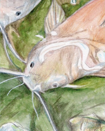 How to Draw a River: From the Source to the Sea: A Step-by-Step Course for the Nature Artist - Alex Boon [KSIĄŻKA]