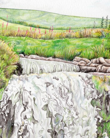 How to Draw a River: From the Source to the Sea: A Step-by-Step Course for the Nature Artist - Alex Boon [KSIĄŻKA]