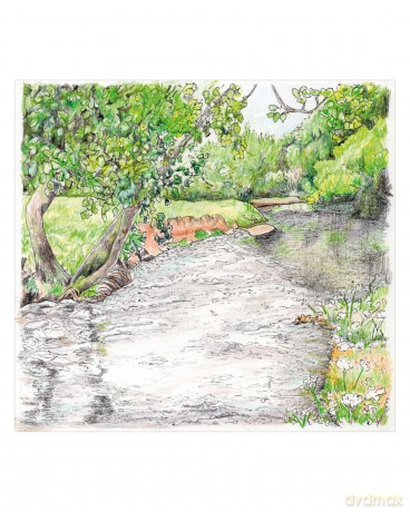 How to Draw a River: From the Source to the Sea: A Step-by-Step Course for the Nature Artist - Alex Boon [KSIĄŻKA]