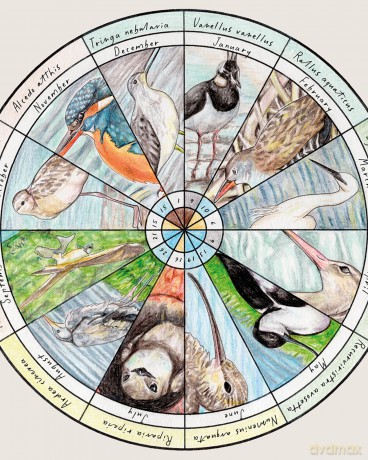 How to Draw a River: From the Source to the Sea: A Step-by-Step Course for the Nature Artist - Alex Boon [KSIĄŻKA]