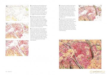 How to Draw a Tree: From the Fruit to the Forest: A Step-by-Step Course for the Nature Artist - Alex Boon [KSIĄŻKA]