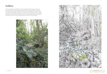 How to Draw a Tree: From the Fruit to the Forest: A Step-by-Step Course for the Nature Artist - Alex Boon [KSIĄŻKA]
