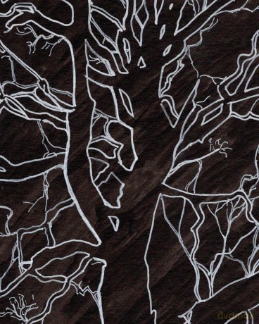 How to Draw a Tree: From the Fruit to the Forest: A Step-by-Step Course for the Nature Artist - Alex Boon [KSIĄŻKA]