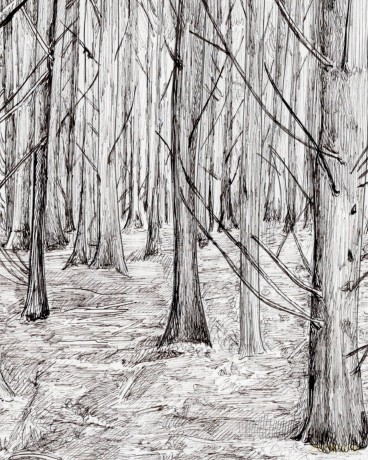 How to Draw a Tree: From the Fruit to the Forest: A Step-by-Step Course for the Nature Artist - Alex Boon [KSIĄŻKA]