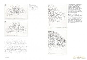 How to Draw a Tree: From the Fruit to the Forest: A Step-by-Step Course for the Nature Artist - Alex Boon [KSIĄŻKA]
