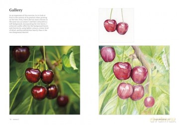 How to Draw a Tree: From the Fruit to the Forest: A Step-by-Step Course for the Nature Artist - Alex Boon [KSIĄŻKA]
