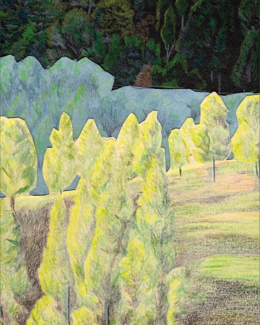 How to Draw a Tree: From the Fruit to the Forest: A Step-by-Step Course for the Nature Artist - Alex Boon [KSIĄŻKA]