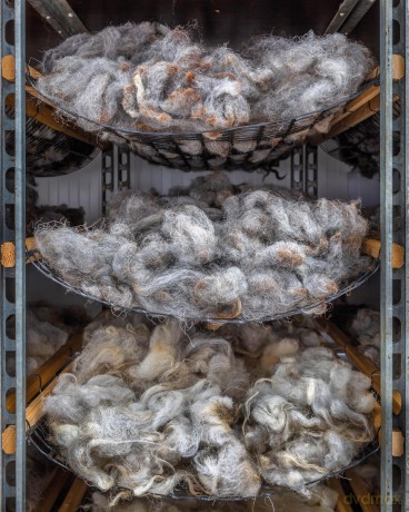 The Wonder of Wool: A knitter's guide to pure breed sheep - Justine Lee [KSIĄŻKA]