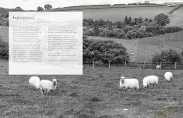 The Wonder of Wool: A knitter's guide to pure breed sheep - Justine Lee [KSIĄŻKA]