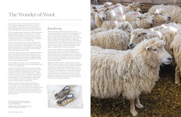 The Wonder of Wool: A knitter's guide to pure breed sheep - Justine Lee [KSIĄŻKA]