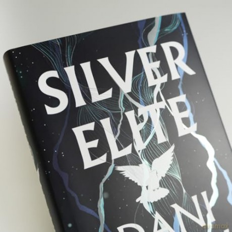 Silver Elite - Dani Francis [KSIĄŻKA]
