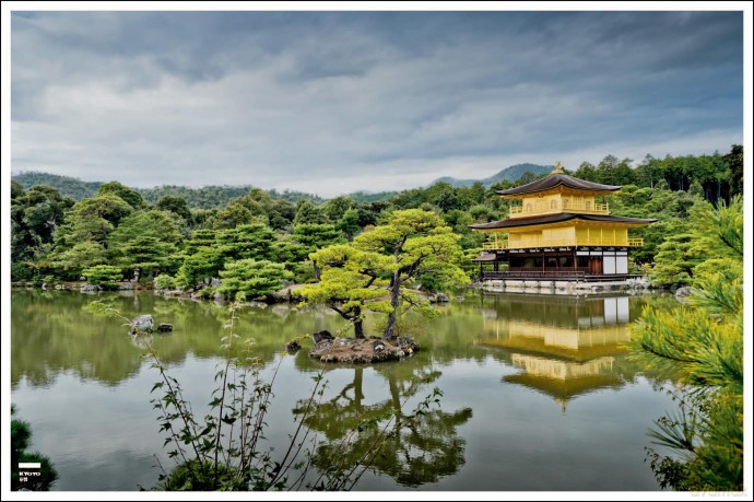 Curves: Japan: Volume 25 - Stefan Bogner [KSIĄŻKA]