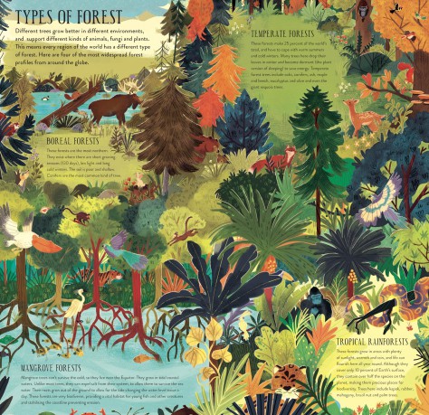 Make and Play: Build A Tree: Build a 30cm Oak Tree! Includes a 32-page Book and 40+ Model Pieces - Philippa Forrester [KSIĄŻKA]
