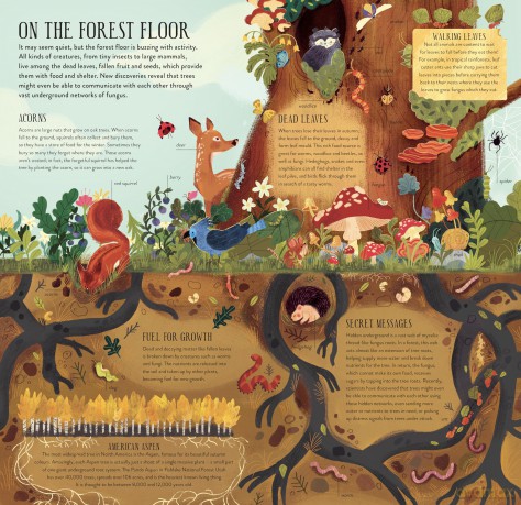 Make and Play: Build A Tree: Build a 30cm Oak Tree! Includes a 32-page Book and 40+ Model Pieces - Philippa Forrester [KSIĄŻKA]