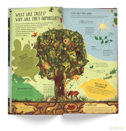 Make and Play: Build A Tree: Build a 30cm Oak Tree! Includes a 32-page Book and 40+ Model Pieces - Philippa Forrester [KSIĄŻKA]