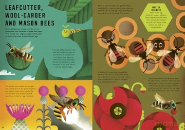 Wild Your World: Bees - Camilla de la Bedoyere [KSIĄŻKA]